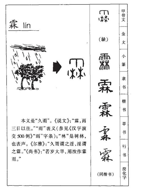 霖 五行|霖字的五行属性